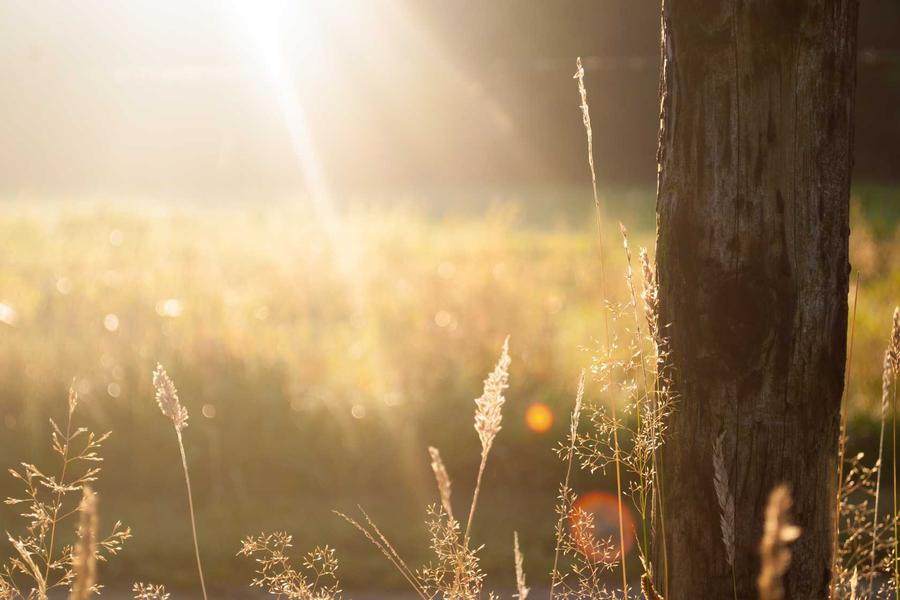 Glødende virtuelle mynter